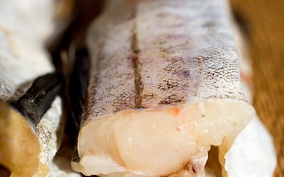 Pollock: A perfect substitute for hake